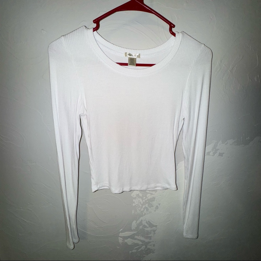 Cropped long sleeve top